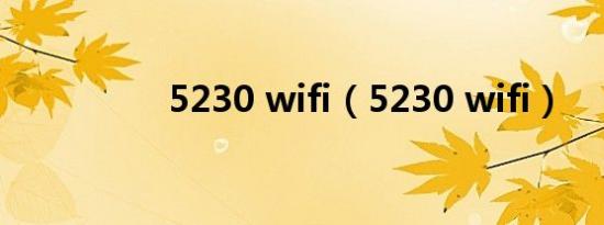 5230 wifi（5230 wifi）