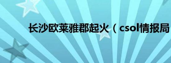 长沙欧莱雅郡起火（csol情报局）