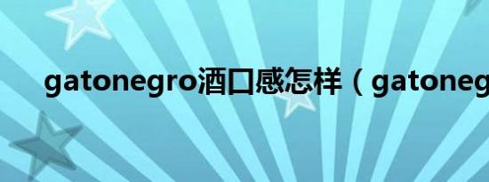 gatonegro酒口感怎样（gatonegro）