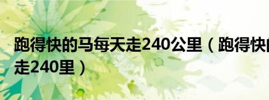 跑得快的马每天走240公里（跑得快的马每天走240里）