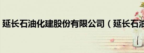 延长石油化建股份有限公司（延长石油化建）