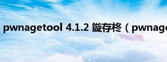 pwnagetool 4.1.2 鏇存柊（pwnagetool）