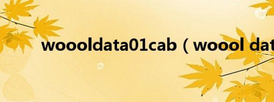 woooldata01cab（woool dat）