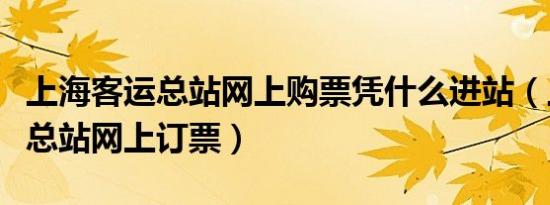 上海客运总站网上购票凭什么进站（上海客运总站网上订票）