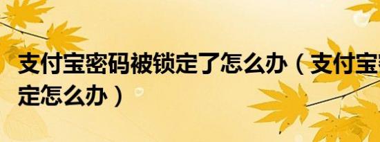 支付宝密码被锁定了怎么办（支付宝密码被锁定怎么办）