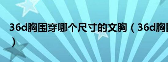 36d胸围穿哪个尺寸的文胸（36d胸围尺码表）