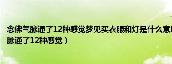 念佛气脉通了12种感觉梦见买衣服和灯是什么意思（念佛气脉通了12种感觉）