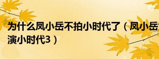 为什么凤小岳不拍小时代了（凤小岳为什么不演小时代3）