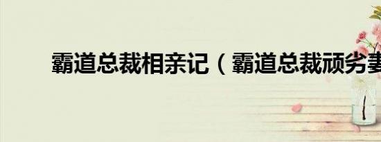 霸道总裁相亲记（霸道总裁顽劣妻）