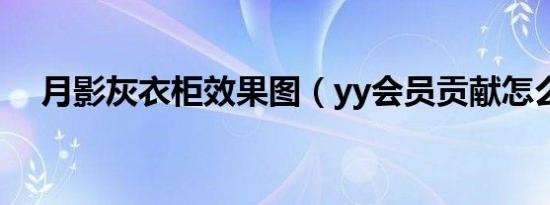 月影灰衣柜效果图（yy会员贡献怎么刷）