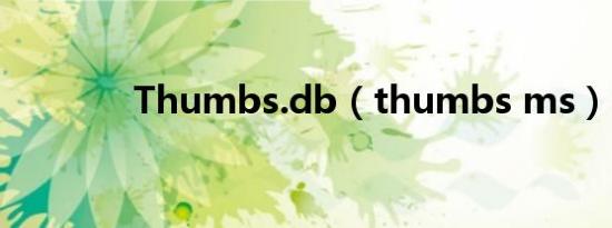 Thumbs.db（thumbs ms）