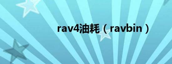 rav4油耗（ravbin）