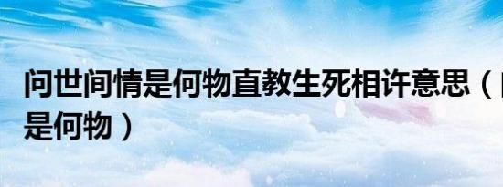 问世间情是何物直教生死相许意思（问世间情是何物）