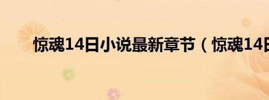 惊魂14日小说最新章节（惊魂14日）