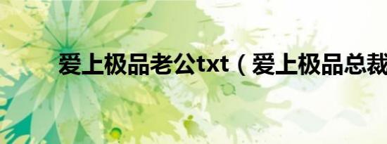 爱上极品老公txt（爱上极品总裁）