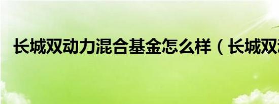 长城双动力混合基金怎么样（长城双动力）