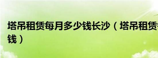 塔吊租赁每月多少钱长沙（塔吊租赁每月多少钱）