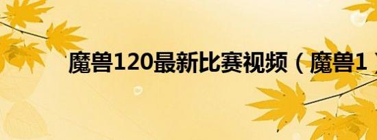 魔兽120最新比赛视频（魔兽1）