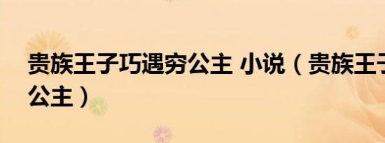 贵族王子巧遇穷公主 小说（贵族王子and穷公主）