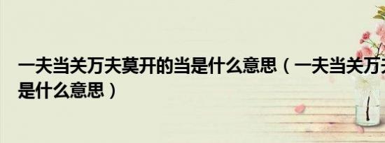 一夫当关万夫莫开的当是什么意思（一夫当关万夫莫开的当是什么意思）