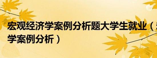 宏观经济学案例分析题大学生就业（宏观经济学案例分析）