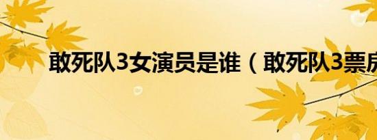 敢死队3女演员是谁（敢死队3票房）