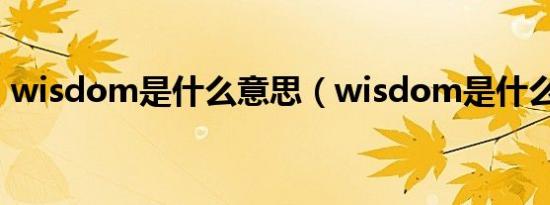 wisdom是什么意思（wisdom是什么意思）