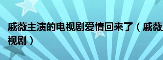 戚薇主演的电视剧爱情回来了（戚薇主演的电视剧）