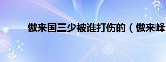 傲来国三少被谁打伤的（傲来峰）