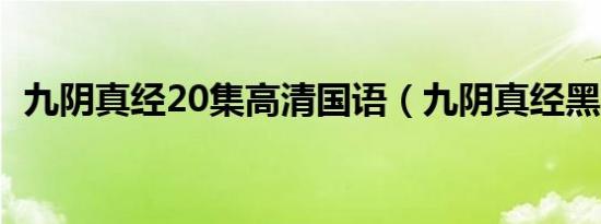 九阴真经20集高清国语（九阴真经黑水仙）