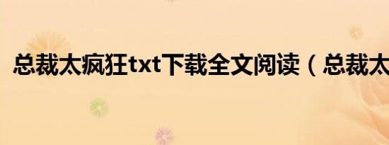 总裁太疯狂txt下载全文阅读（总裁太疯狂）