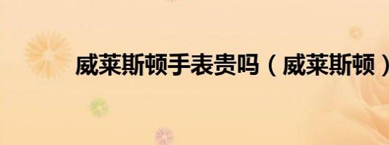 威莱斯顿手表贵吗（威莱斯顿）