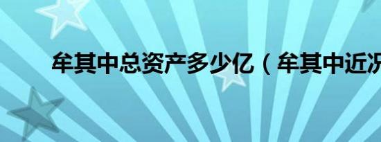 牟其中总资产多少亿（牟其中近况）