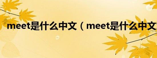 meet是什么中文（meet是什么中文意思）