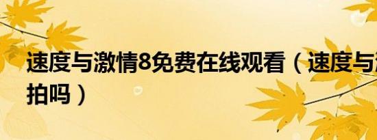 速度与激情8免费在线观看（速度与激情8还拍吗）