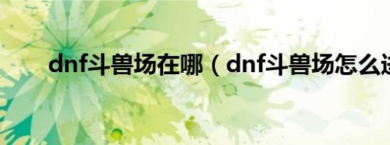 dnf斗兽场在哪（dnf斗兽场怎么进）