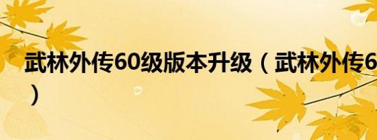 武林外传60级版本升级（武林外传60亿经验）