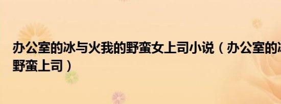 办公室的冰与火我的野蛮女上司小说（办公室的冰与火我的野蛮上司）