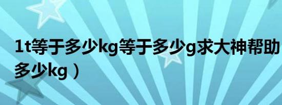 1t等于多少kg等于多少g求大神帮助（1t等于多少kg）