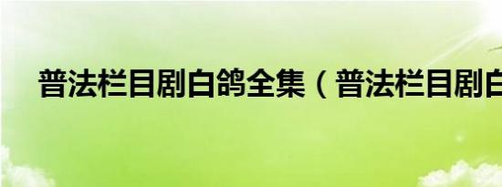 普法栏目剧白鸽全集（普法栏目剧白鸽）