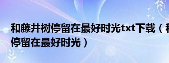 和藤井树停留在最好时光txt下载（和藤井树停留在最好时光）