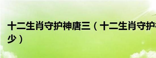 十二生肖守护神唐三（十二生肖守护神唐家三少）