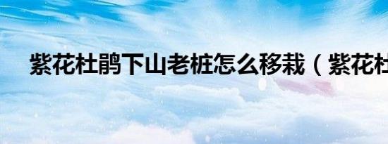 the itunes store无法下载（the itunes）