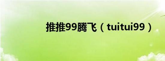 推推99腾飞（tuitui99）