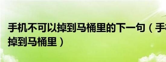 手机不可以掉到马桶里的下一句（手机不可以掉到马桶里）