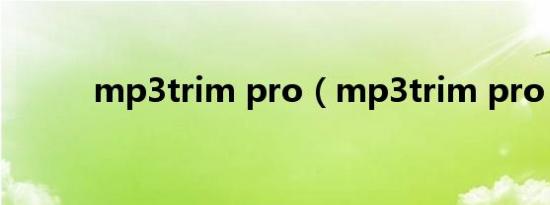 mp3trim pro（mp3trim pro）