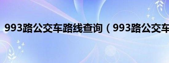 993路公交车路线查询（993路公交车路线）