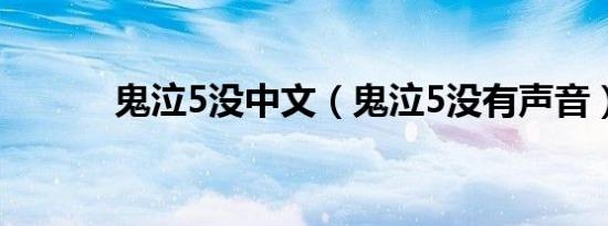 鬼泣5没中文（鬼泣5没有声音）