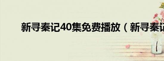 新寻秦记40集免费播放（新寻秦记）