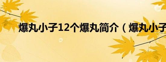 爆丸小子12个爆丸简介（爆丸小子1）